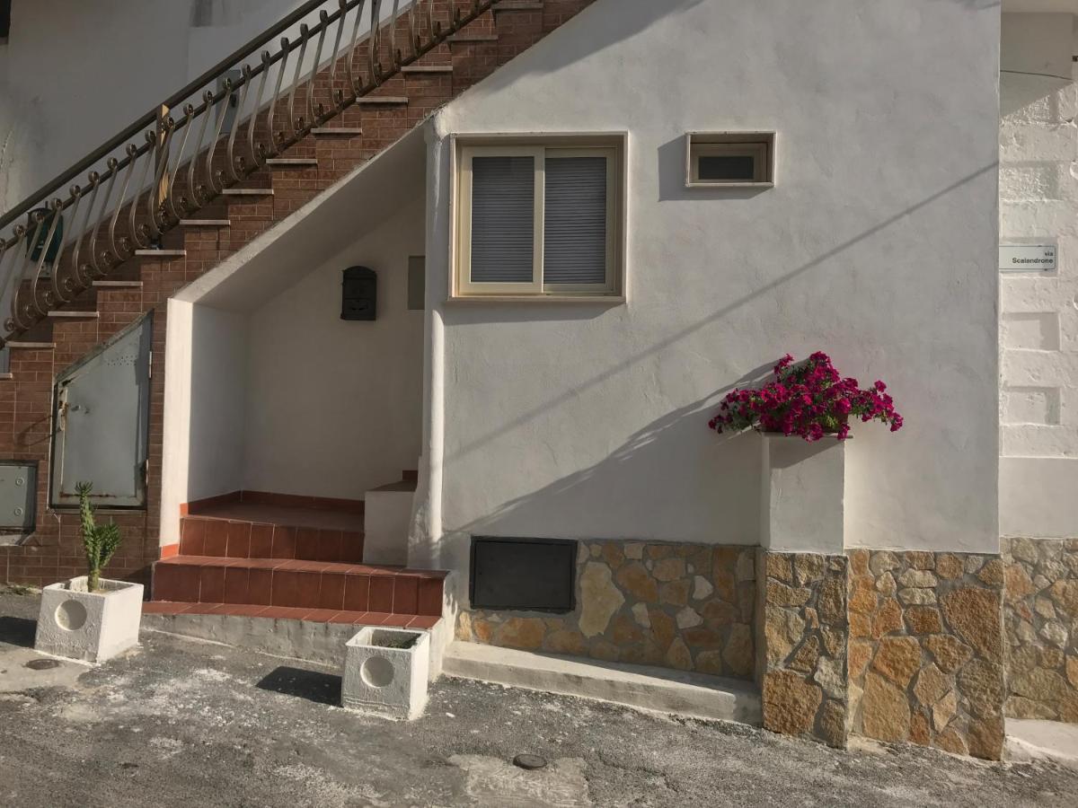 Casa Vacanze Flora 페스키치 외부 사진